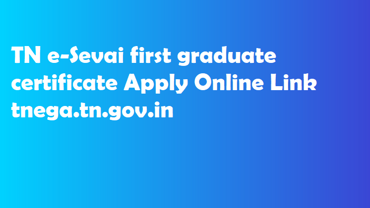 TN e-Sevai first graduate certificate Apply Online Link tnega.tn.gov.in 
